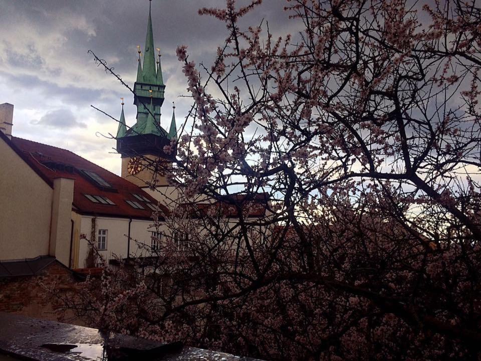 Althanský palác Znojmo Exterior foto